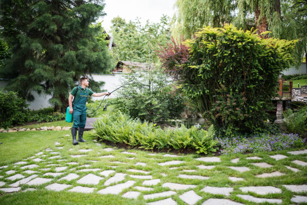 Best Insect Control  in Rio Vista, CA