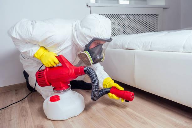 Best Wasp Removal Services  in Rio Vista, CA