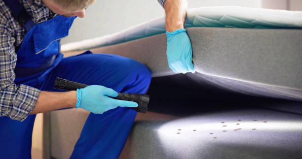 Best Flea Control Services  in Rio Vista, CA