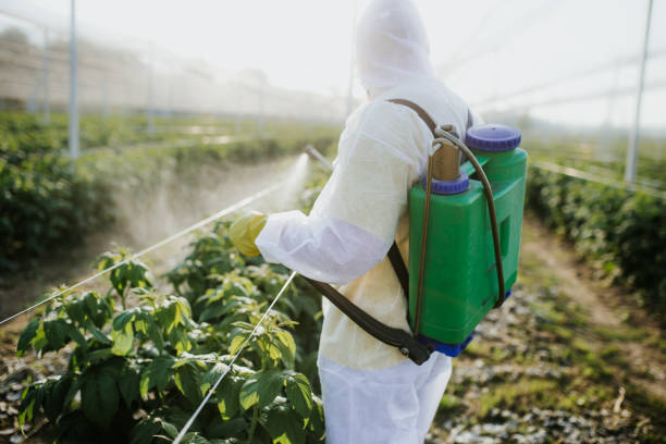 Best Pest Control Treatment  in Rio Vista, CA